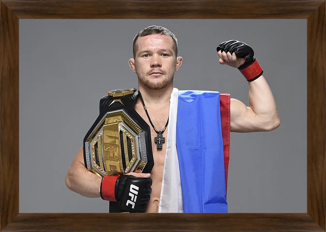 Картина в раме - UFC. MMA. Пётр Ян