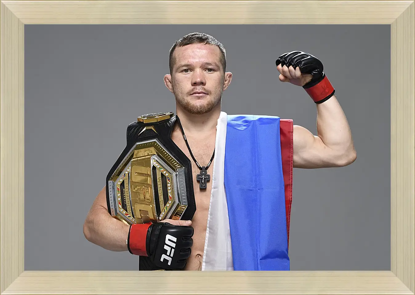 Картина в раме - UFC. MMA. Пётр Ян