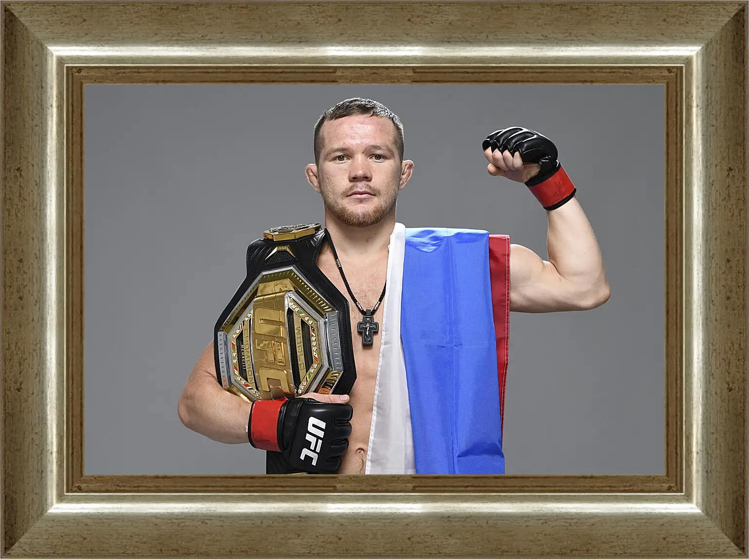 Картина в раме - UFC. MMA. Пётр Ян