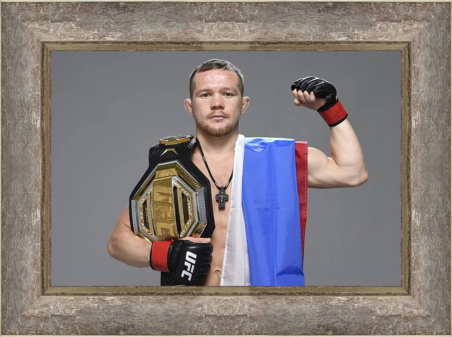 Картина в раме - UFC. MMA. Пётр Ян