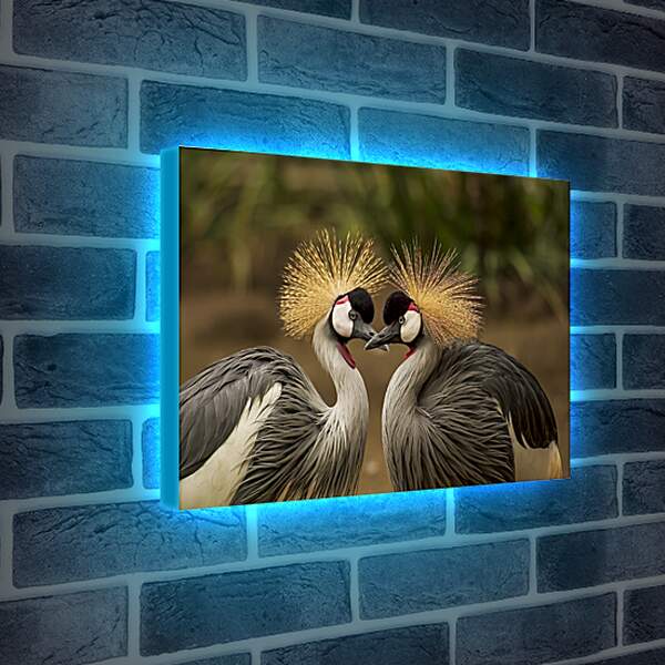 Лайтбокс световая панель - Птицы краны