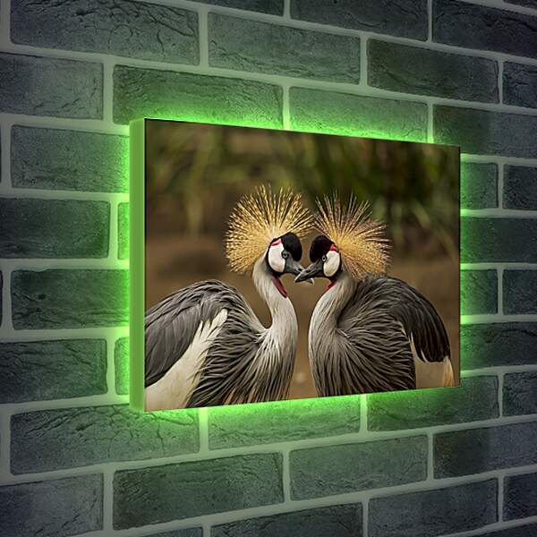 Лайтбокс световая панель - Птицы краны