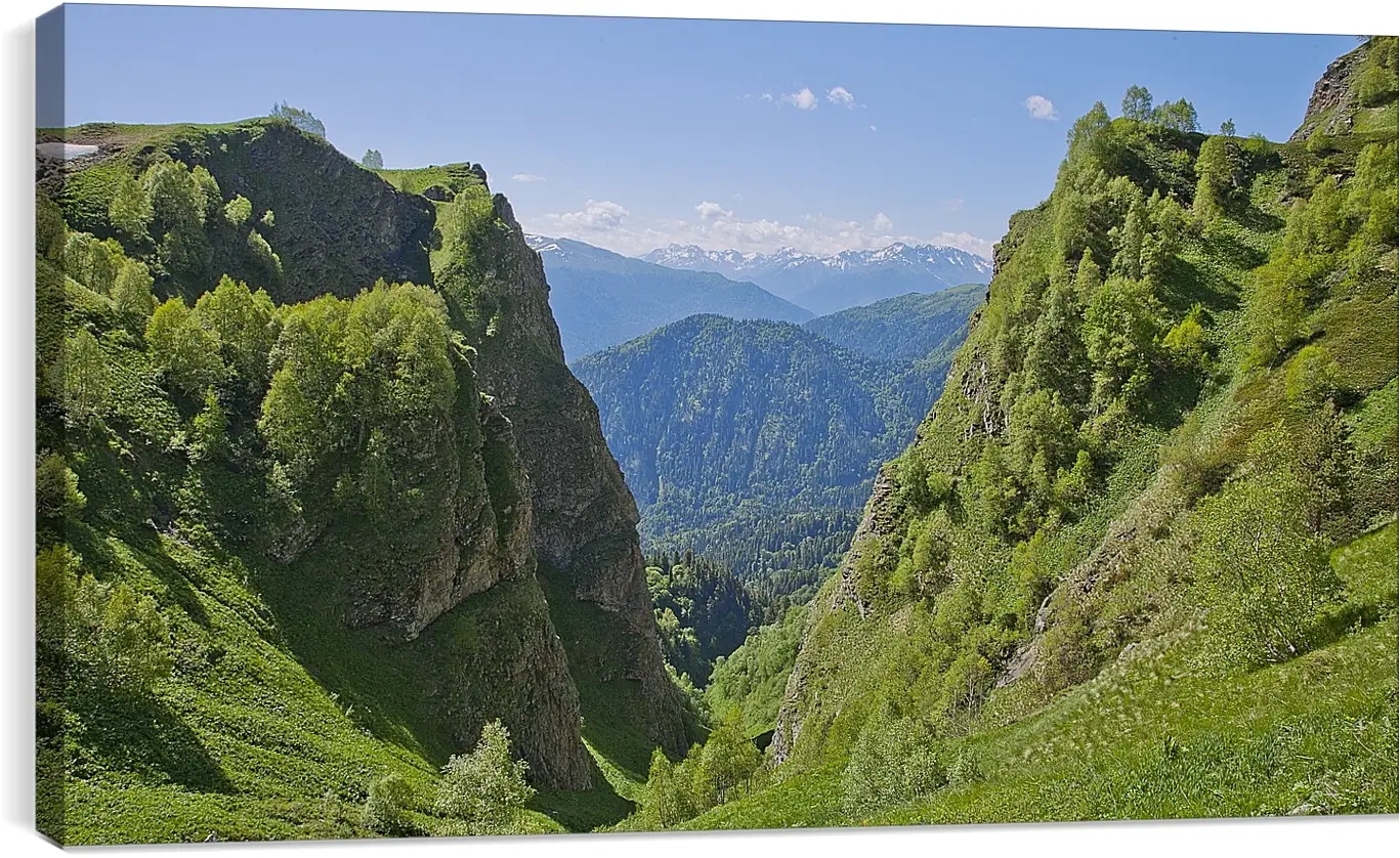 Постер и плакат - Лето