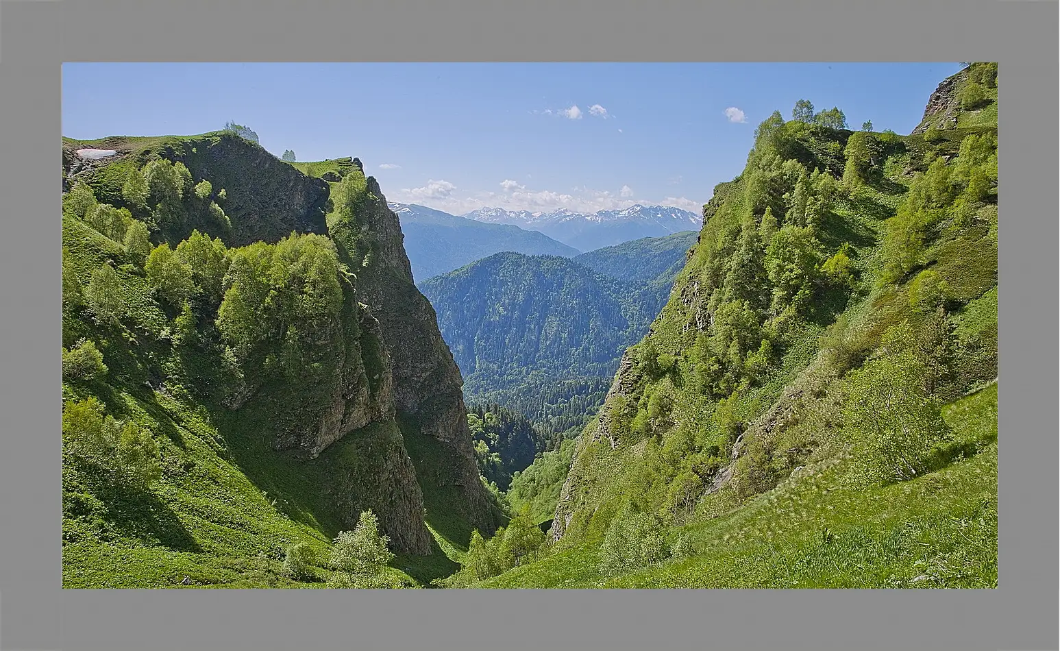 Картина в раме - Лето