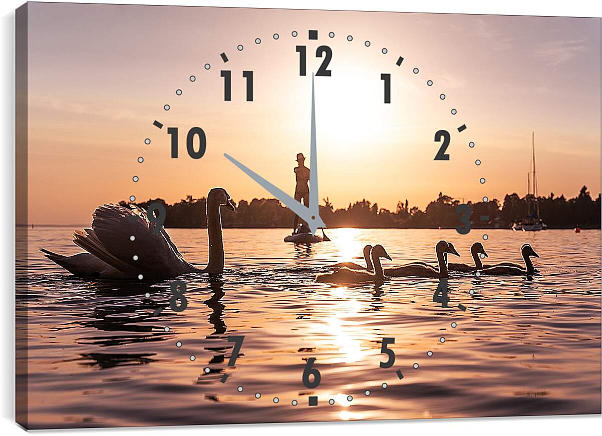 Часы картина - Лебеди на прогулке