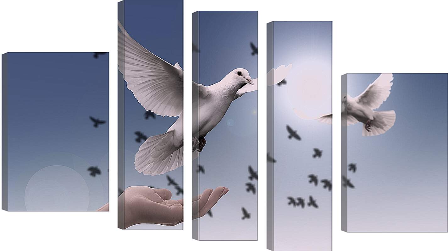 Модульная картина - Птицы мира. Голуби