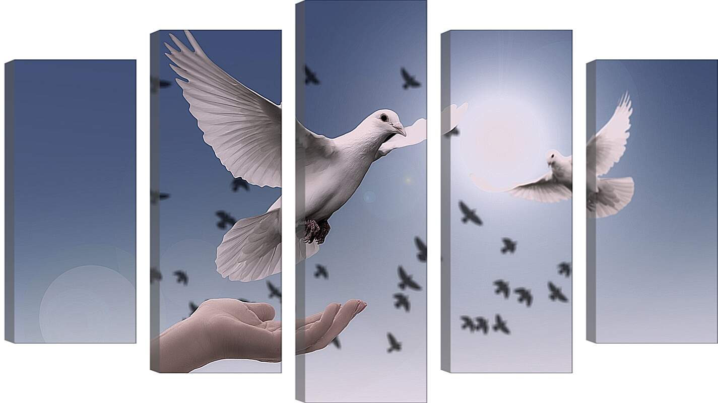 Модульная картина - Птицы мира. Голуби
