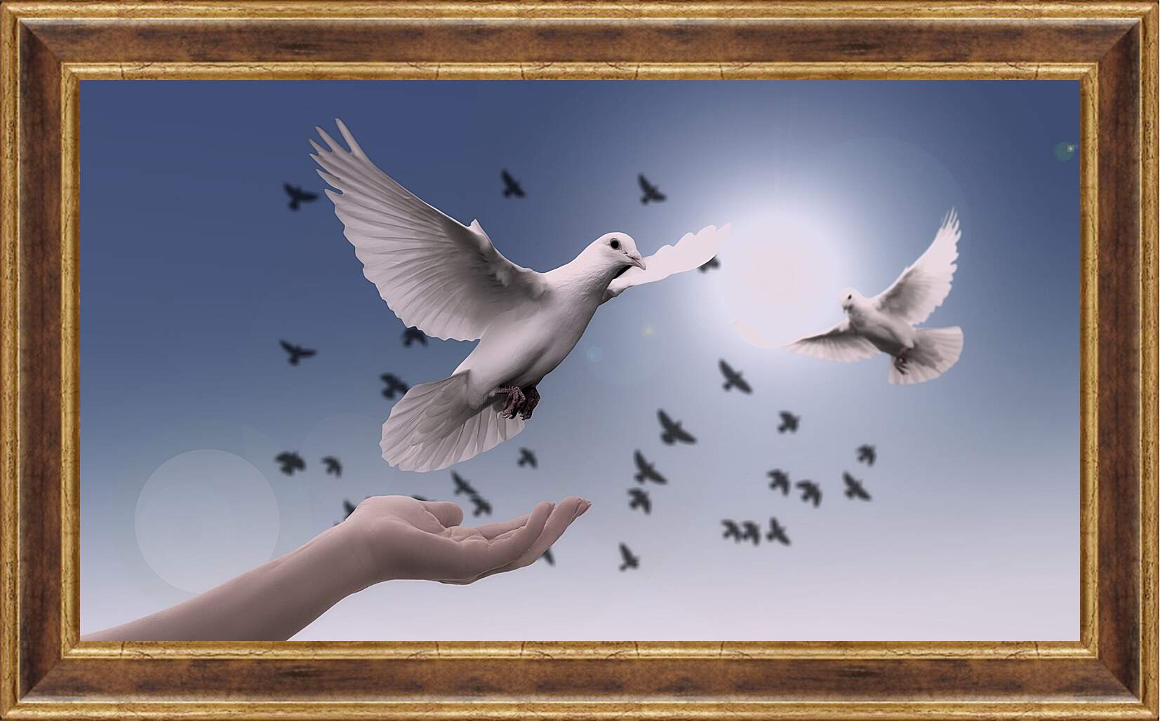 Картина в раме - Птицы мира. Голуби