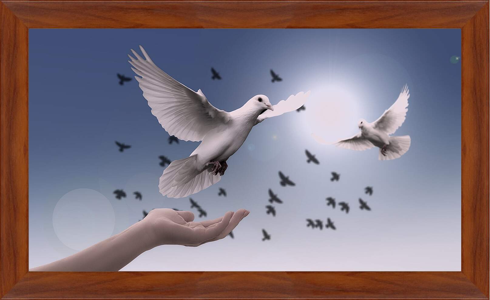 Картина в раме - Птицы мира. Голуби