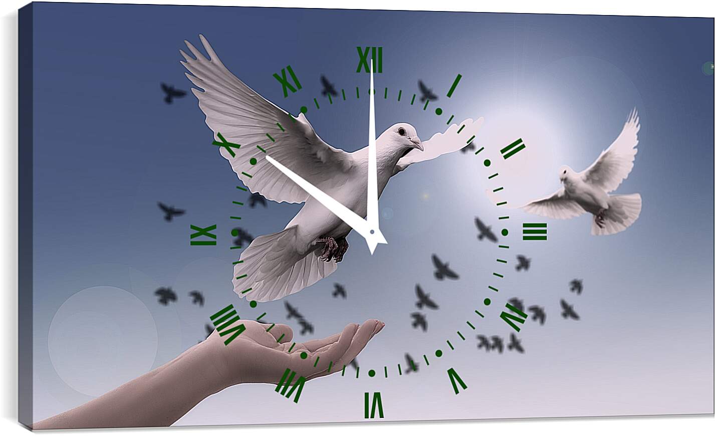Часы картина - Птицы мира. Голуби