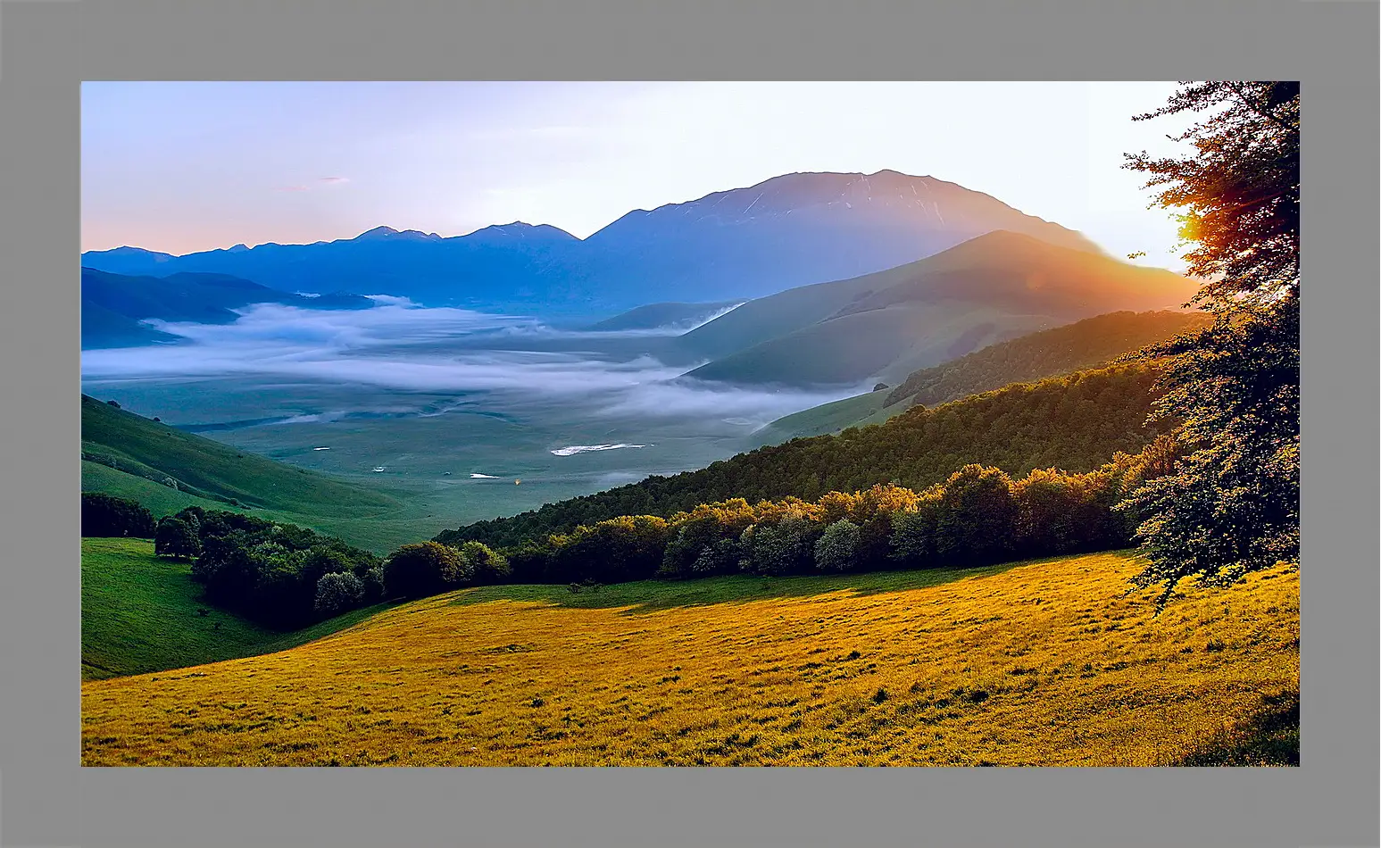 Картина в раме - Лето