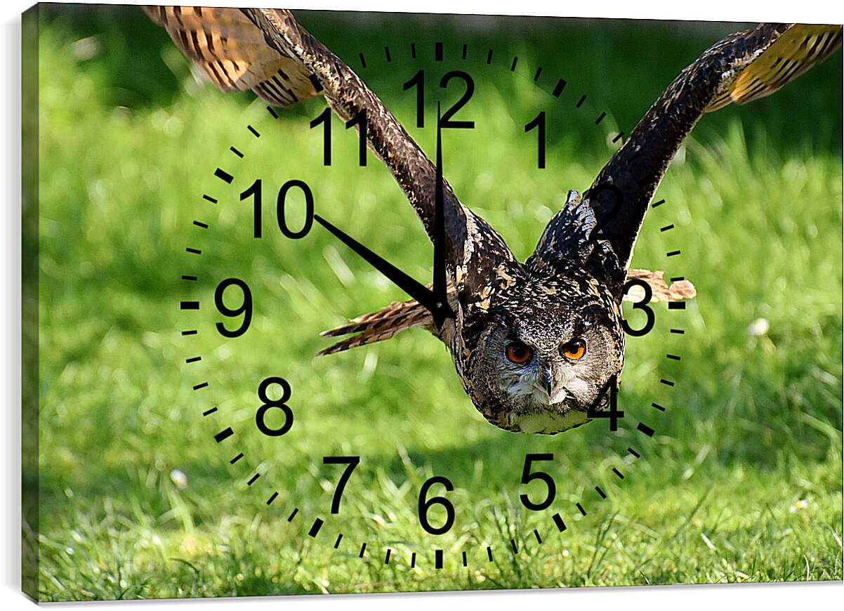 Часы картина - Сова в полёте над землёй