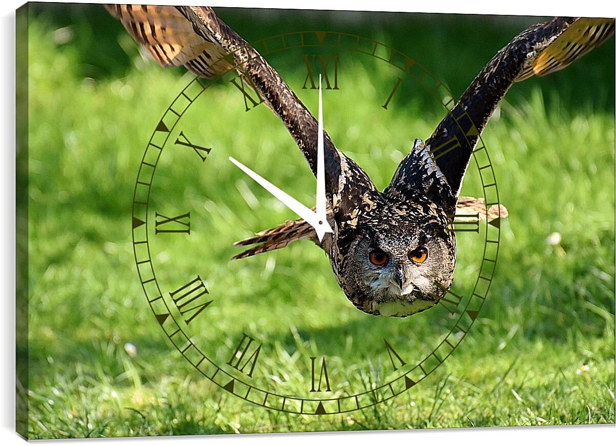 Часы картина - Сова в полёте над землёй