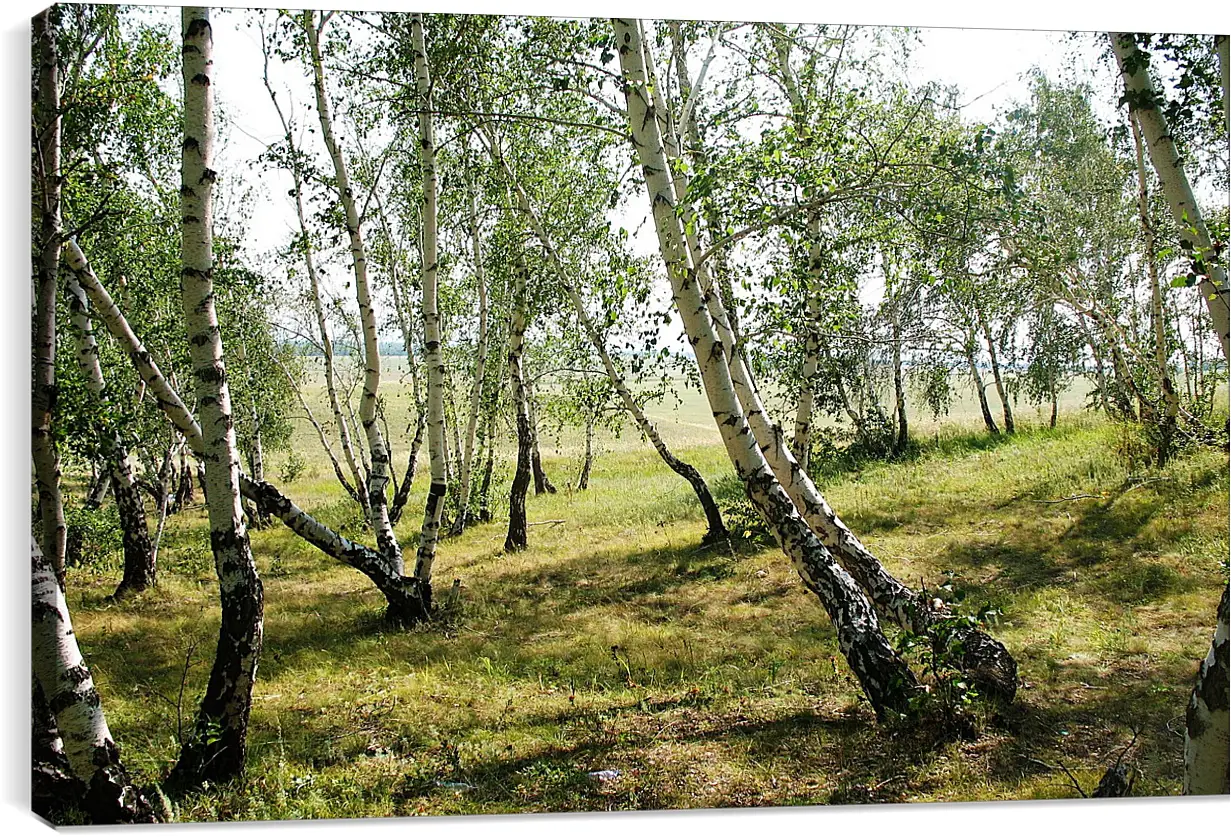 Постер и плакат - Лето