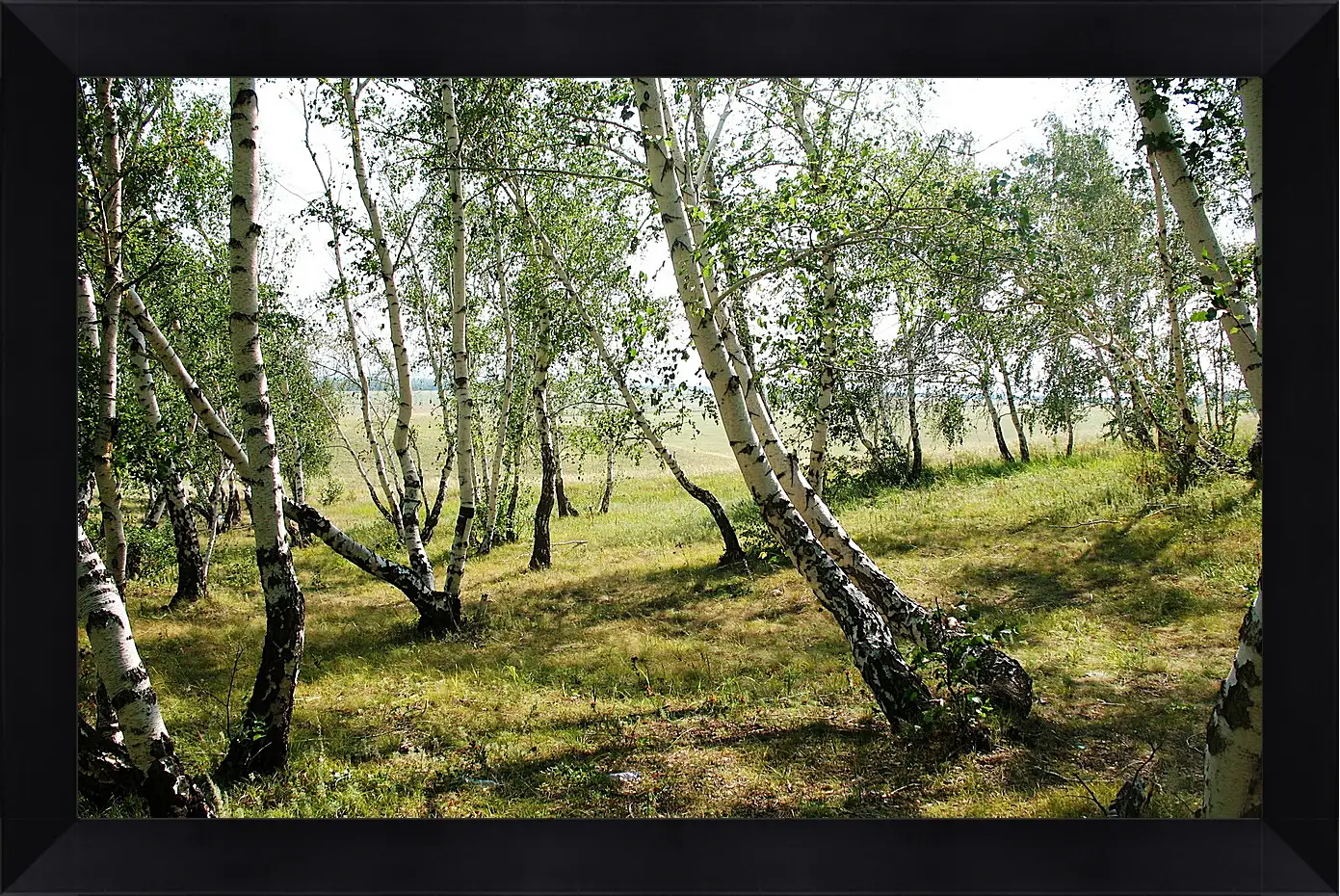 Картина в раме - Лето