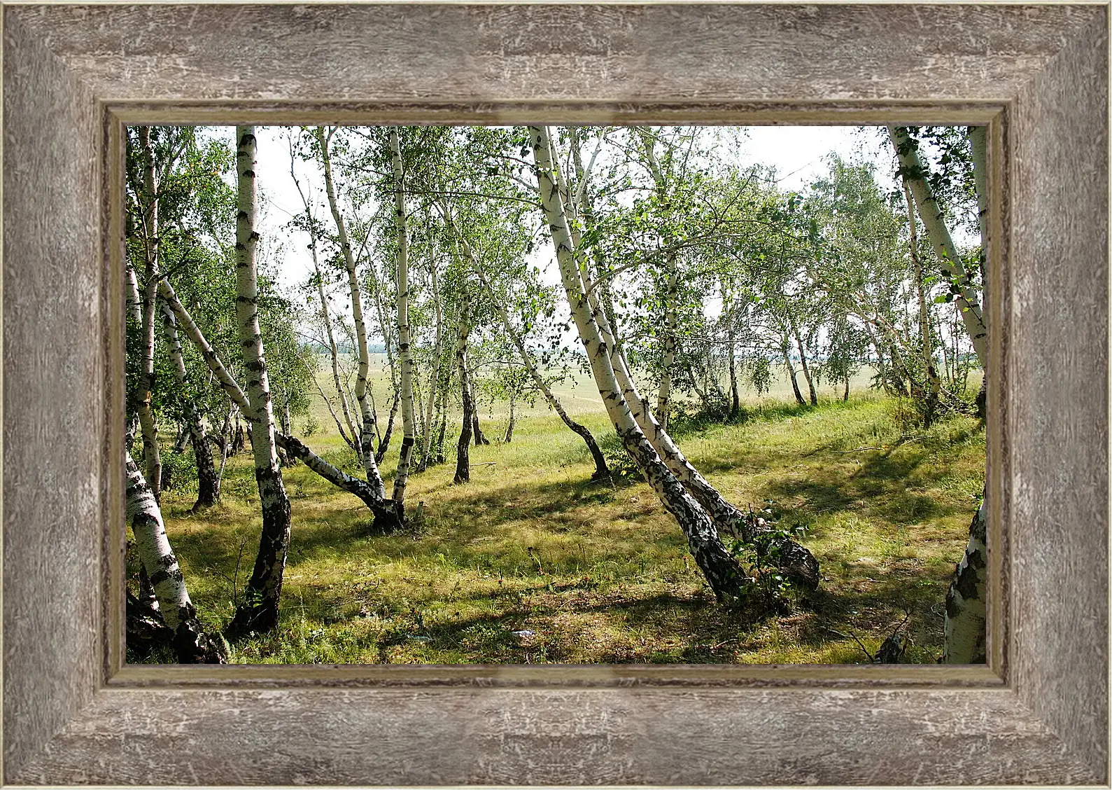 Картина в раме - Лето