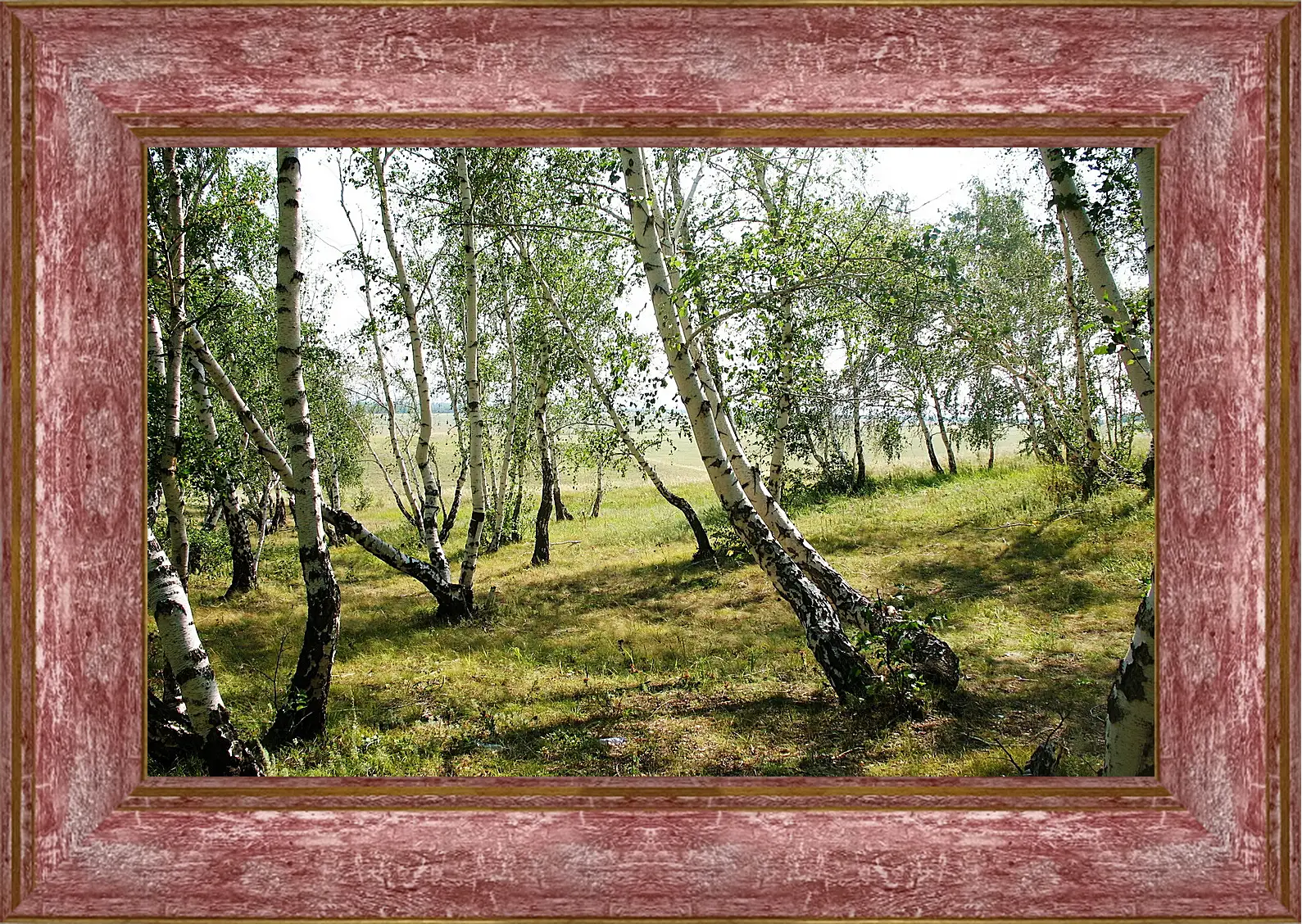 Картина в раме - Лето
