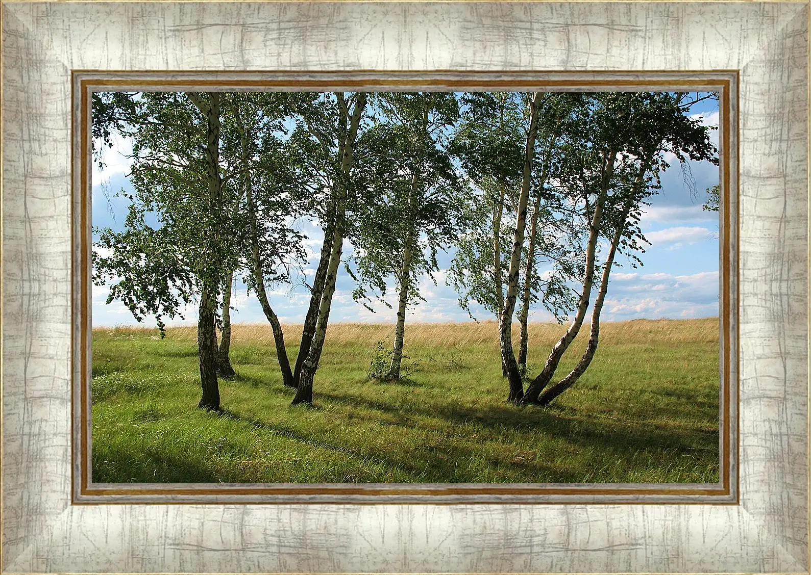 Картина в раме - Лето