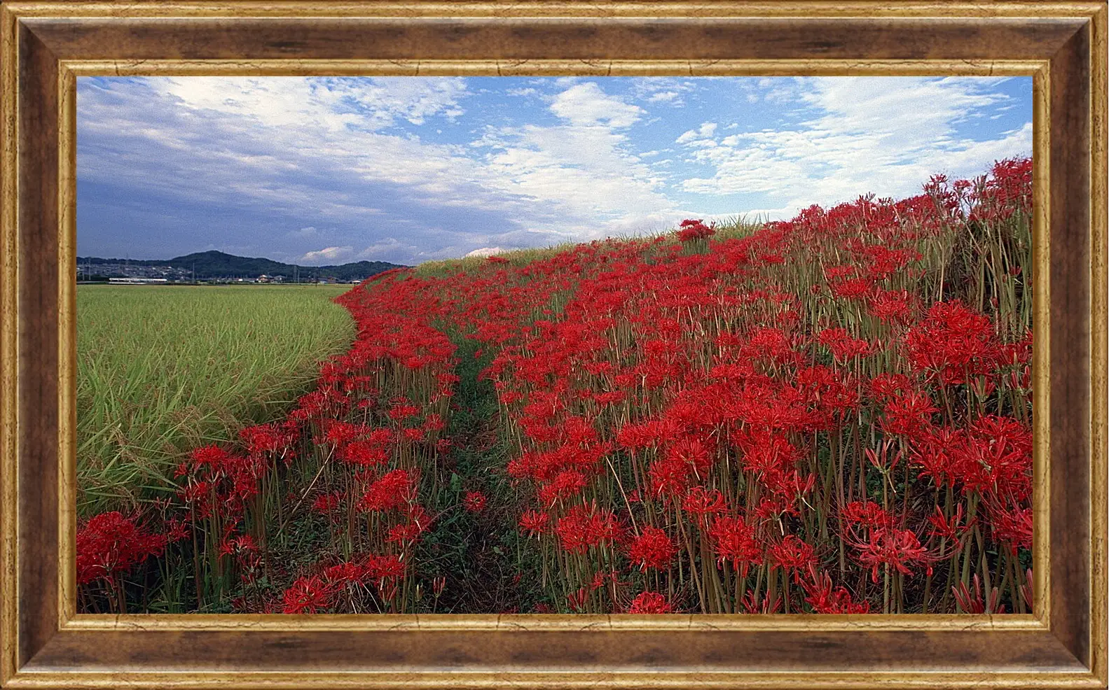 Картина в раме - Лето