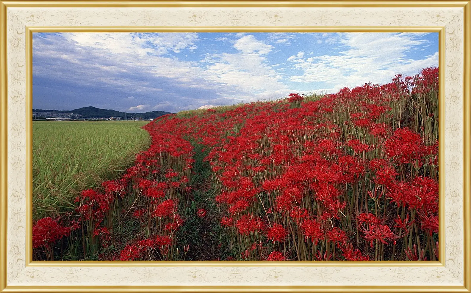 Картина в раме - Лето