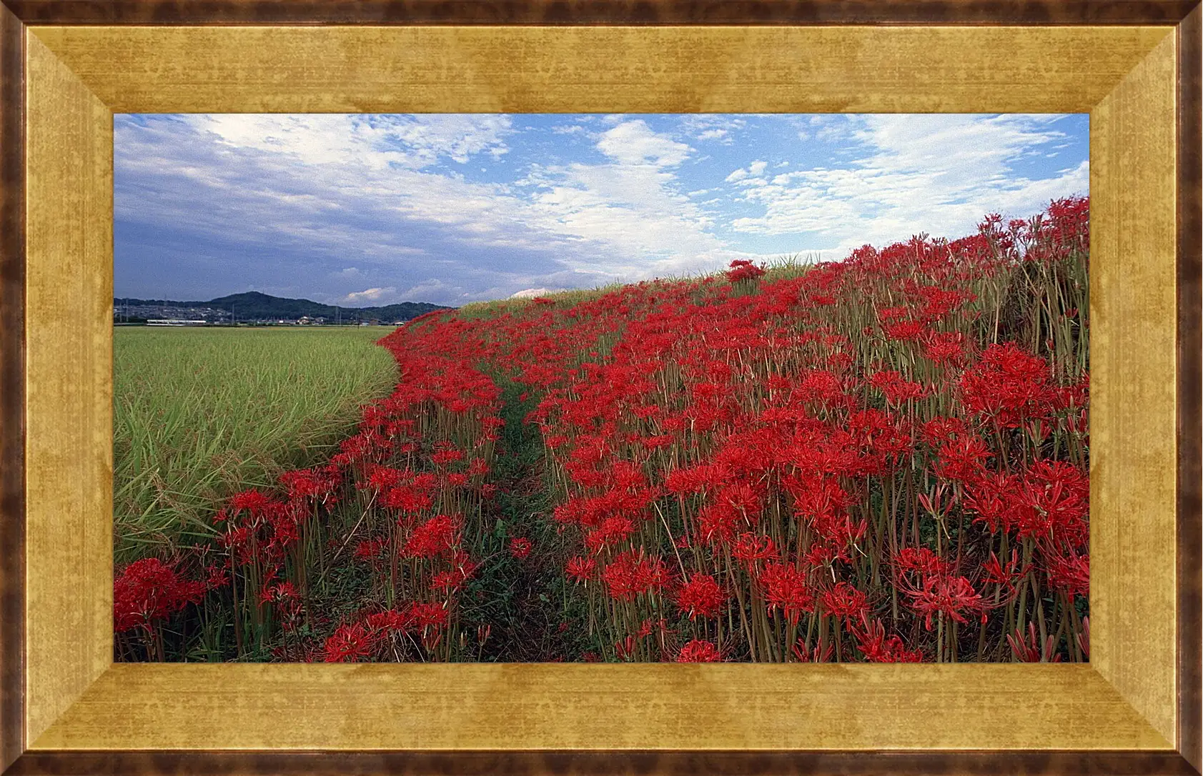 Картина в раме - Лето