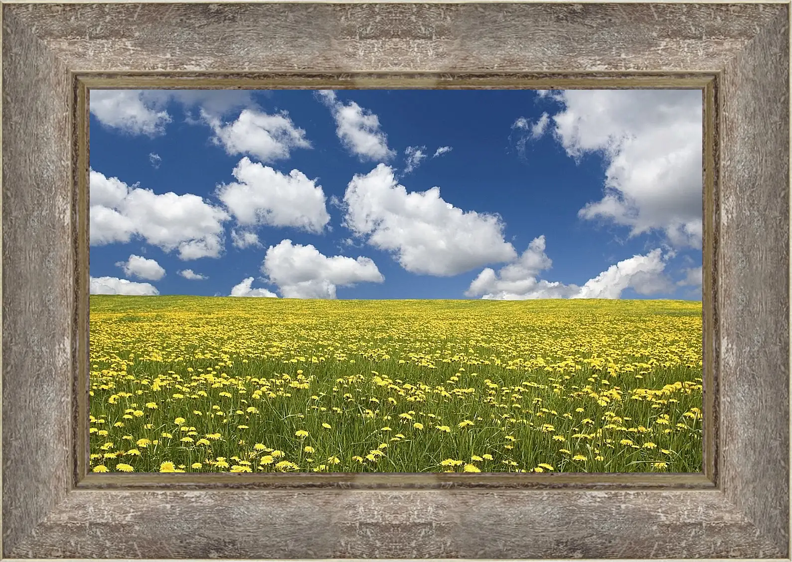 Картина в раме - Лето