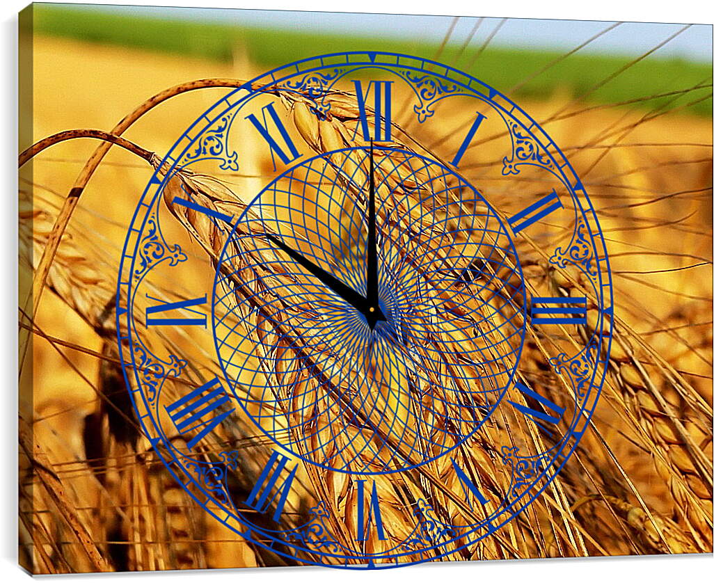 Часы картина - Зрелые колосья пшеницы