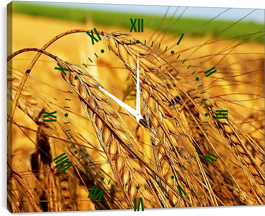 Часы картина - Зрелые колосья пшеницы