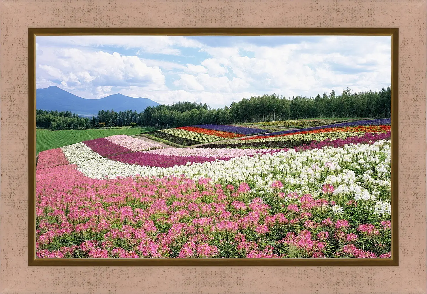 Картина в раме - Лето