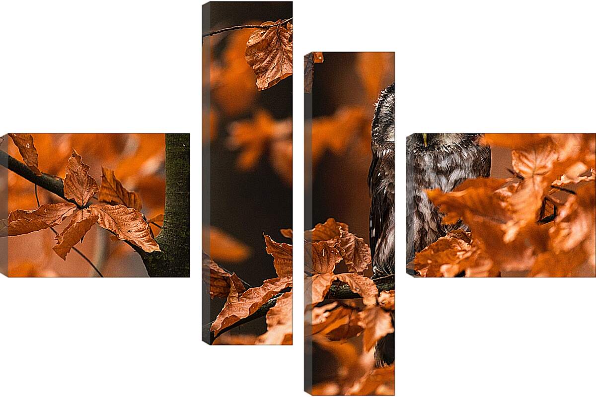 Модульная картина - Сова в листьях