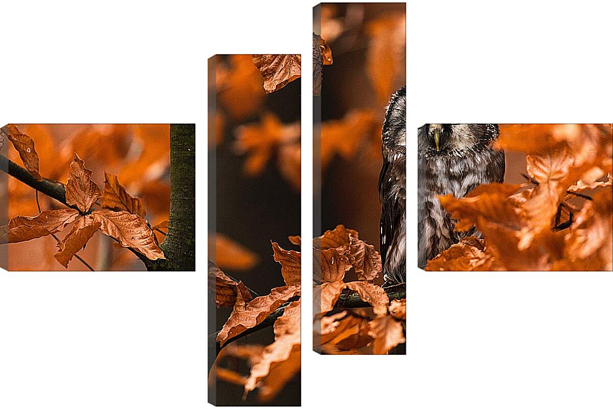 Модульная картина - Сова в листьях
