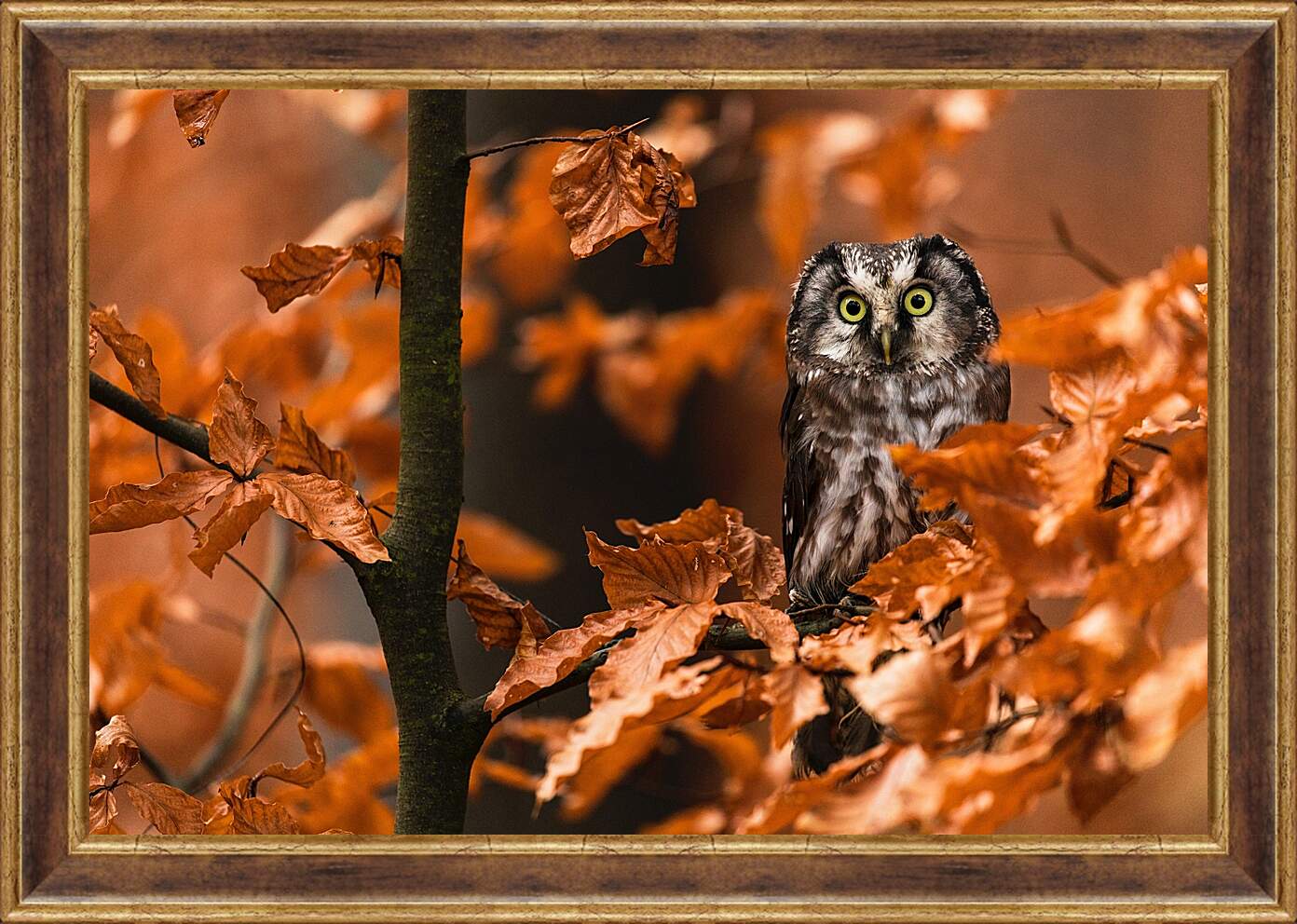 Картина в раме - Сова в листьях