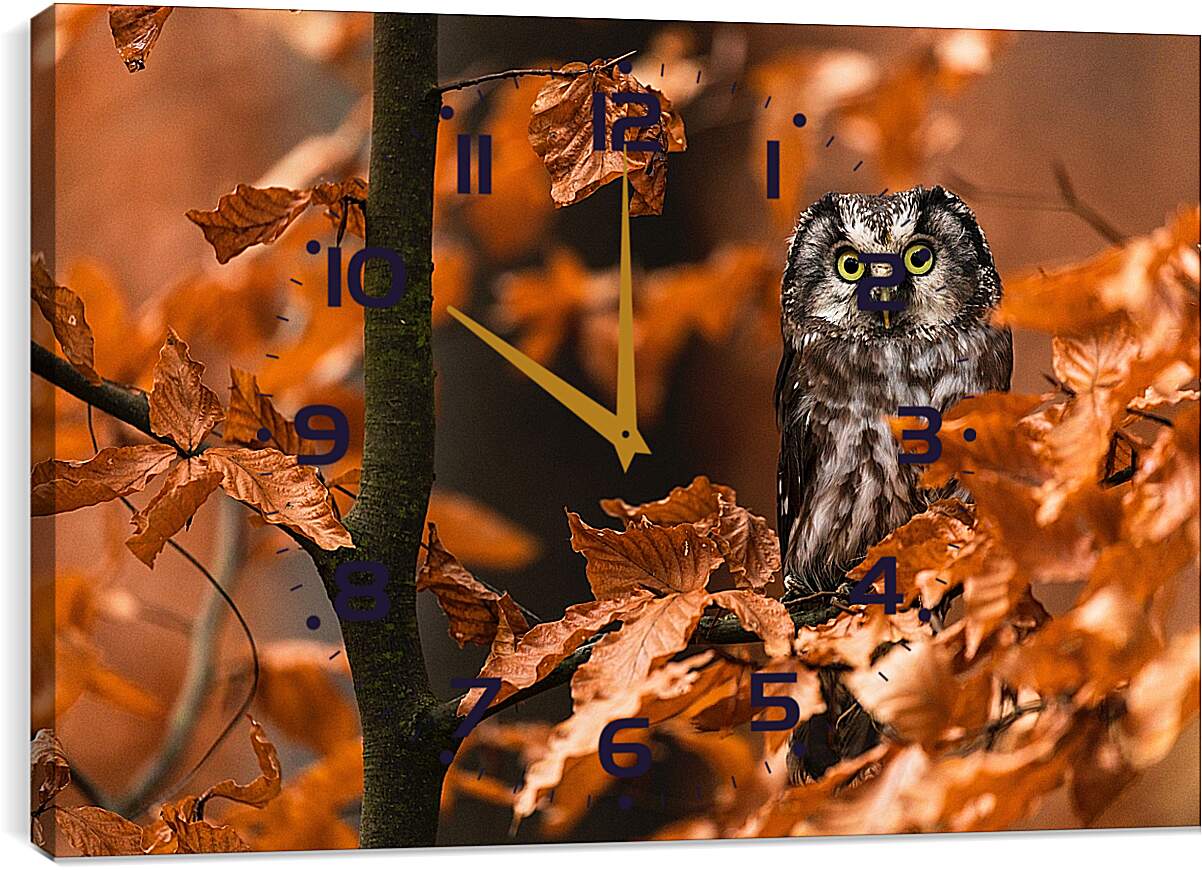 Часы картина - Сова в листьях
