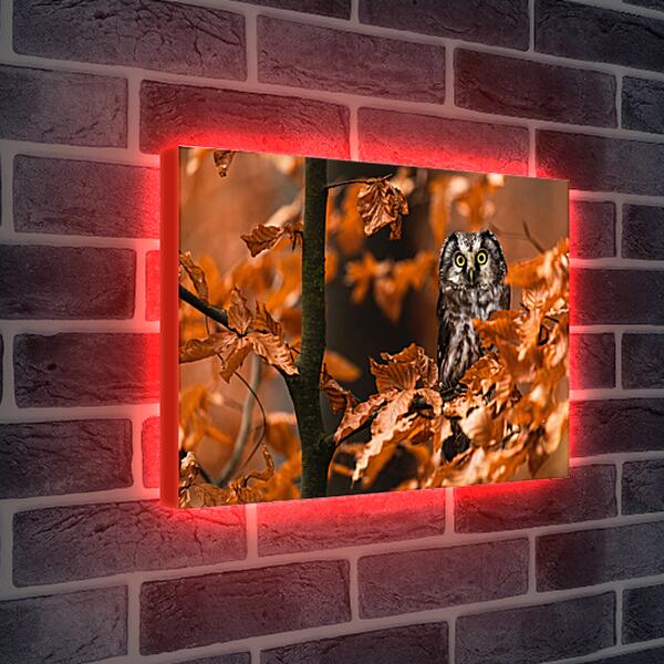 Лайтбокс световая панель - Сова в листьях