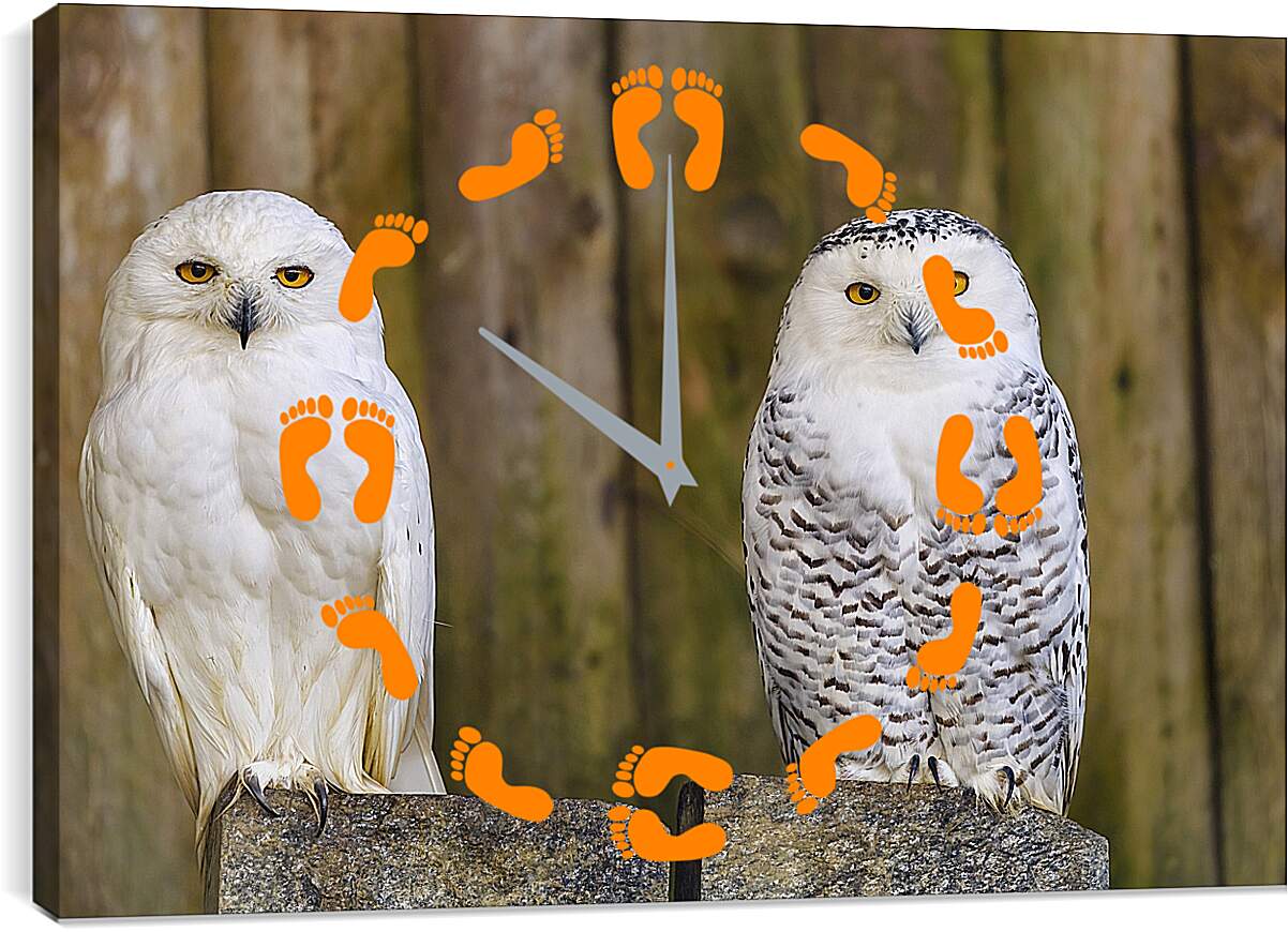 Часы картина - Две совы