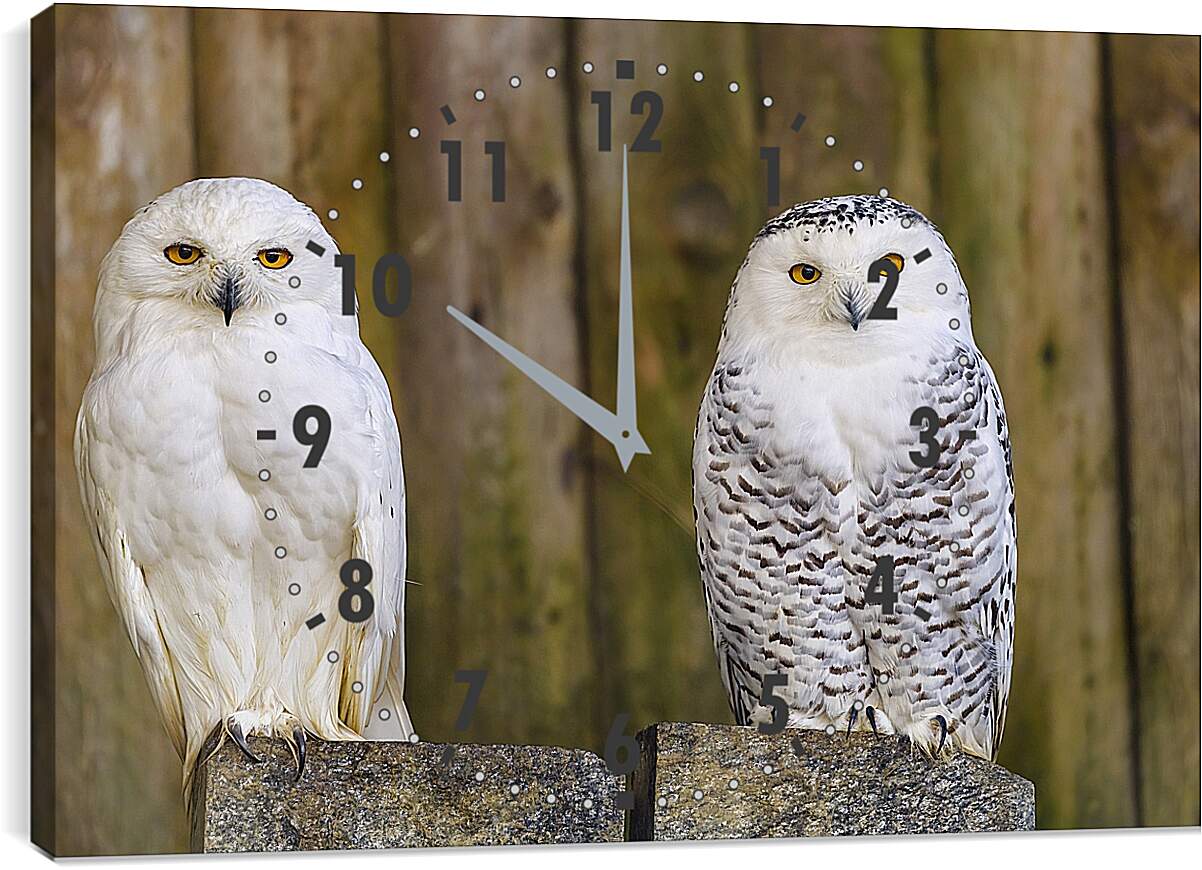 Часы картина - Две совы