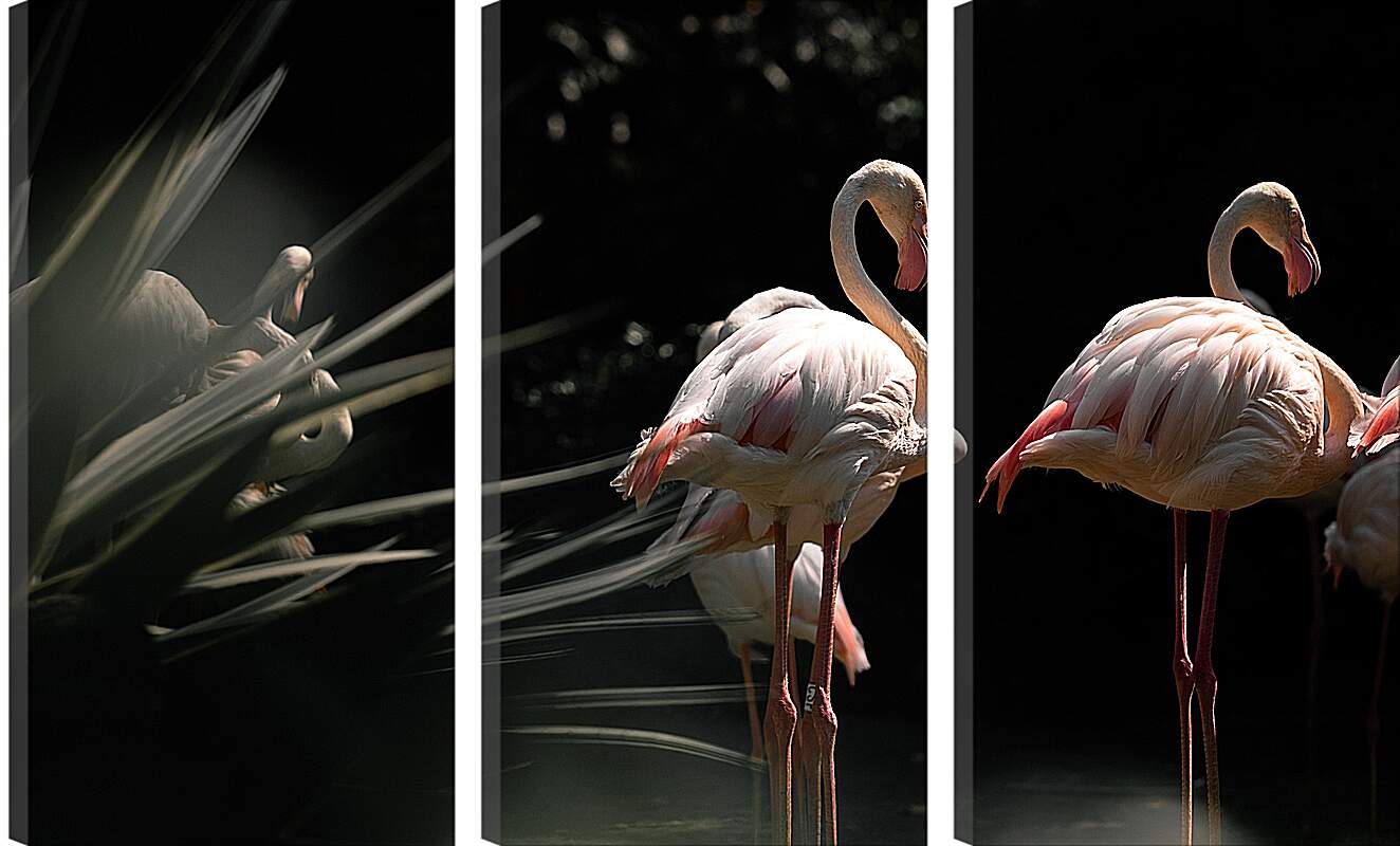 Модульная картина - Несколько фламинго