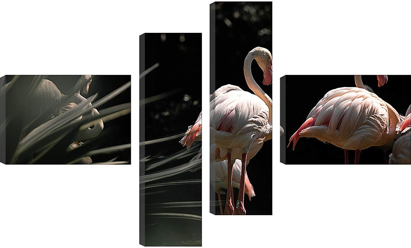 Модульная картина - Несколько фламинго