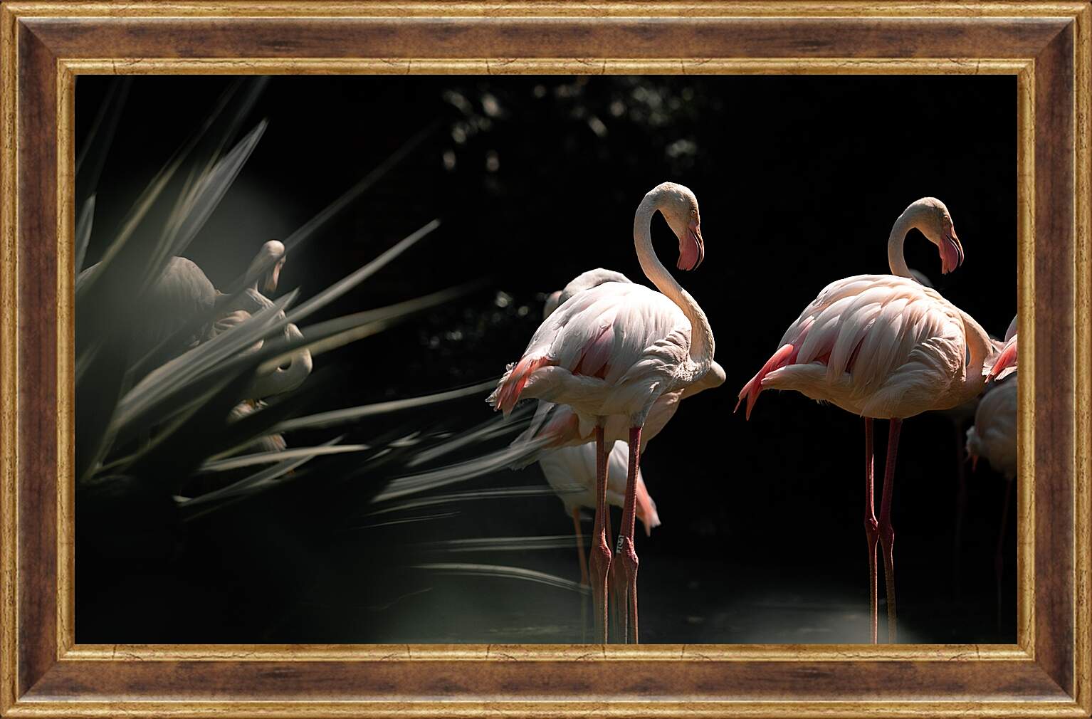 Картина в раме - Несколько фламинго