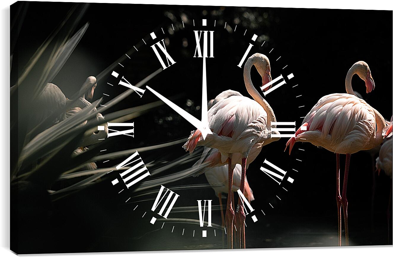 Часы картина - Несколько фламинго