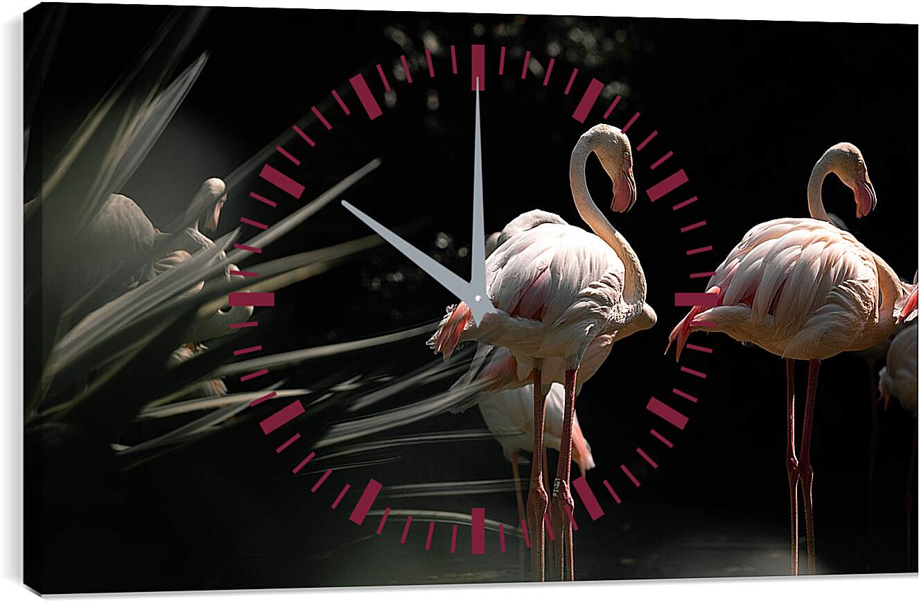 Часы картина - Несколько фламинго