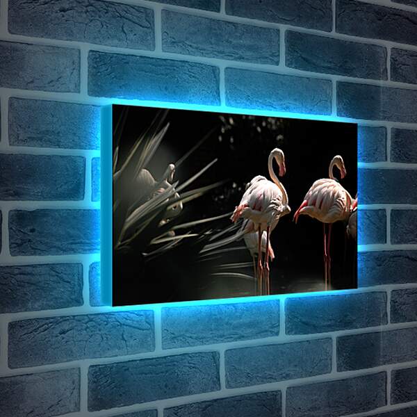 Лайтбокс световая панель - Несколько фламинго
