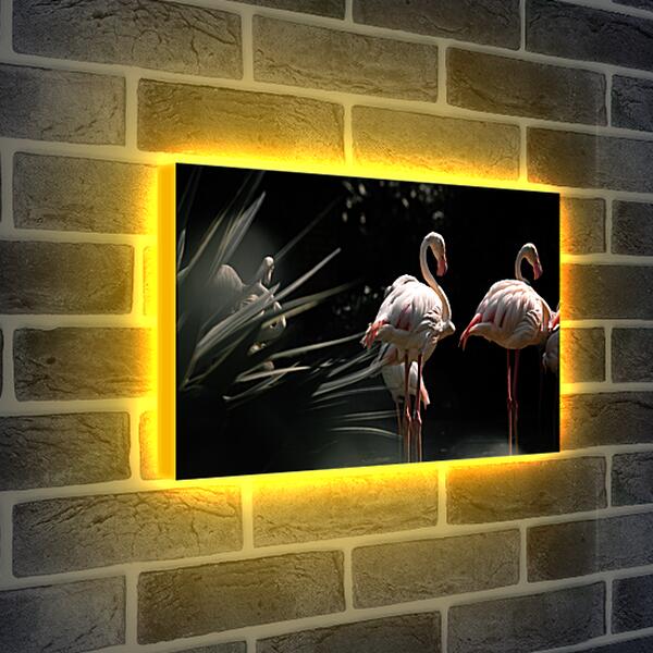 Лайтбокс световая панель - Несколько фламинго