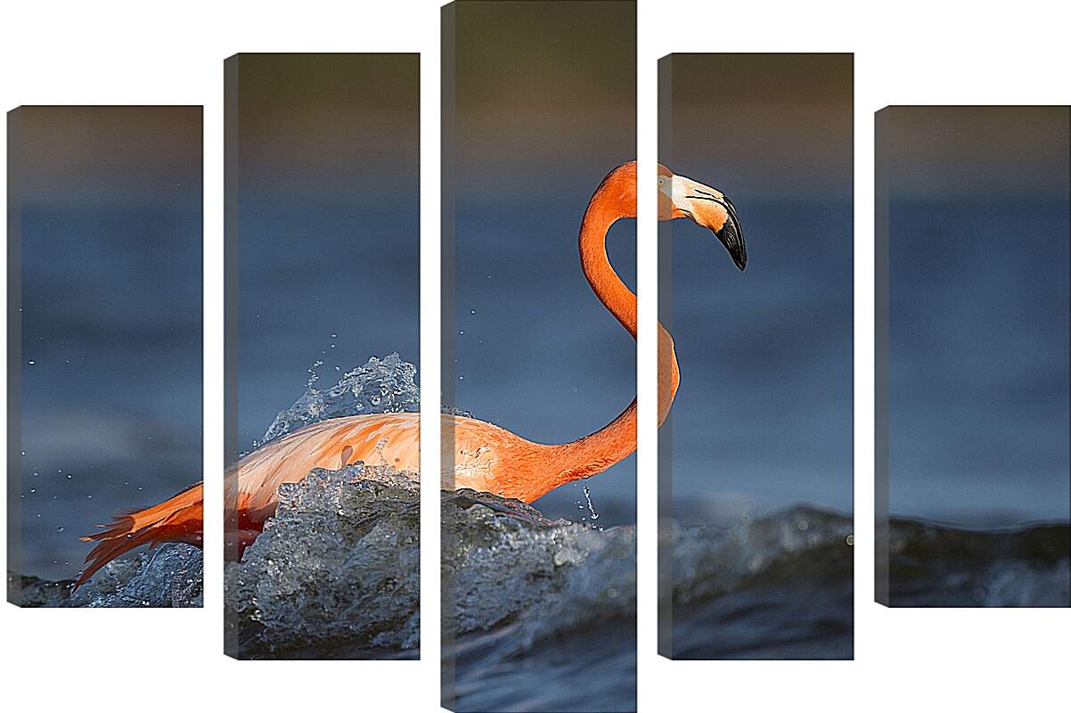 Модульная картина - Фламинго в воде