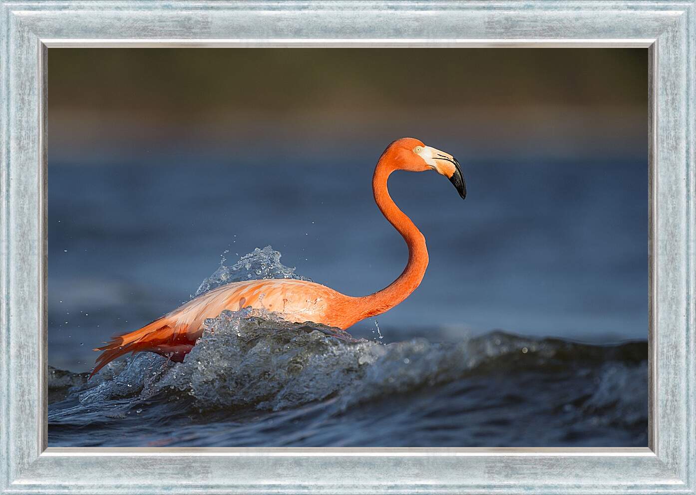 Картина в раме - Фламинго в воде