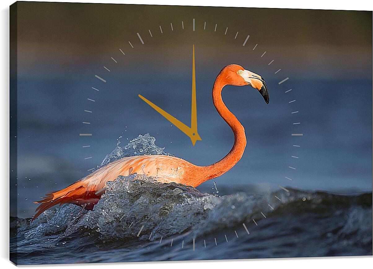 Часы картина - Фламинго в воде