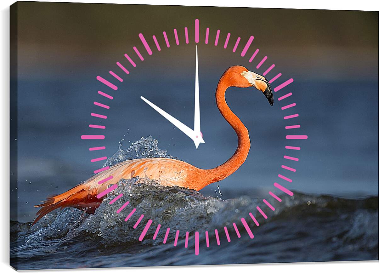 Часы картина - Фламинго в воде