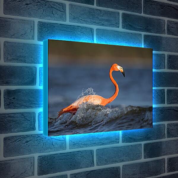 Лайтбокс световая панель - Фламинго в воде