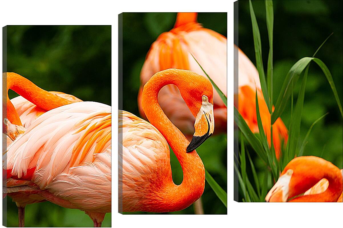 Модульная картина - Фламинго в траве