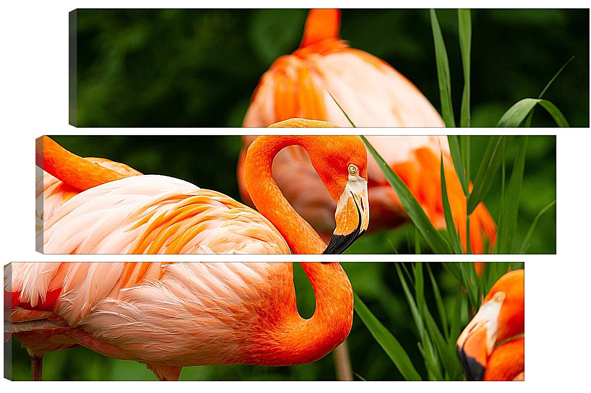 Модульная картина - Фламинго в траве